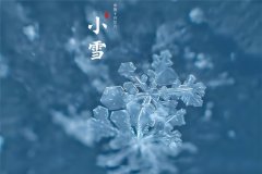 小雪节气吃什么养生最好