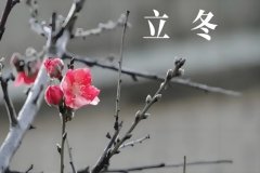 立冬养生攻略：温暖身体，滋养心灵
