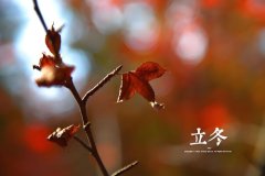 明日立冬，养生有道，冬季健康指南