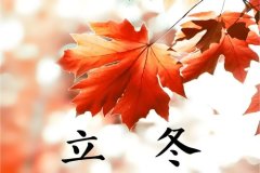 立冬时节的养生秘籍，温暖你的整个