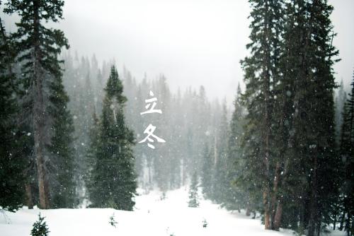 冬季立冬养生汤，暖心又滋补