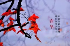 立冬养生：膏方开启，温暖迎接寒冬